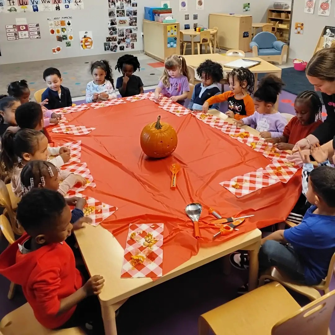 preschooler exploring pumpkins